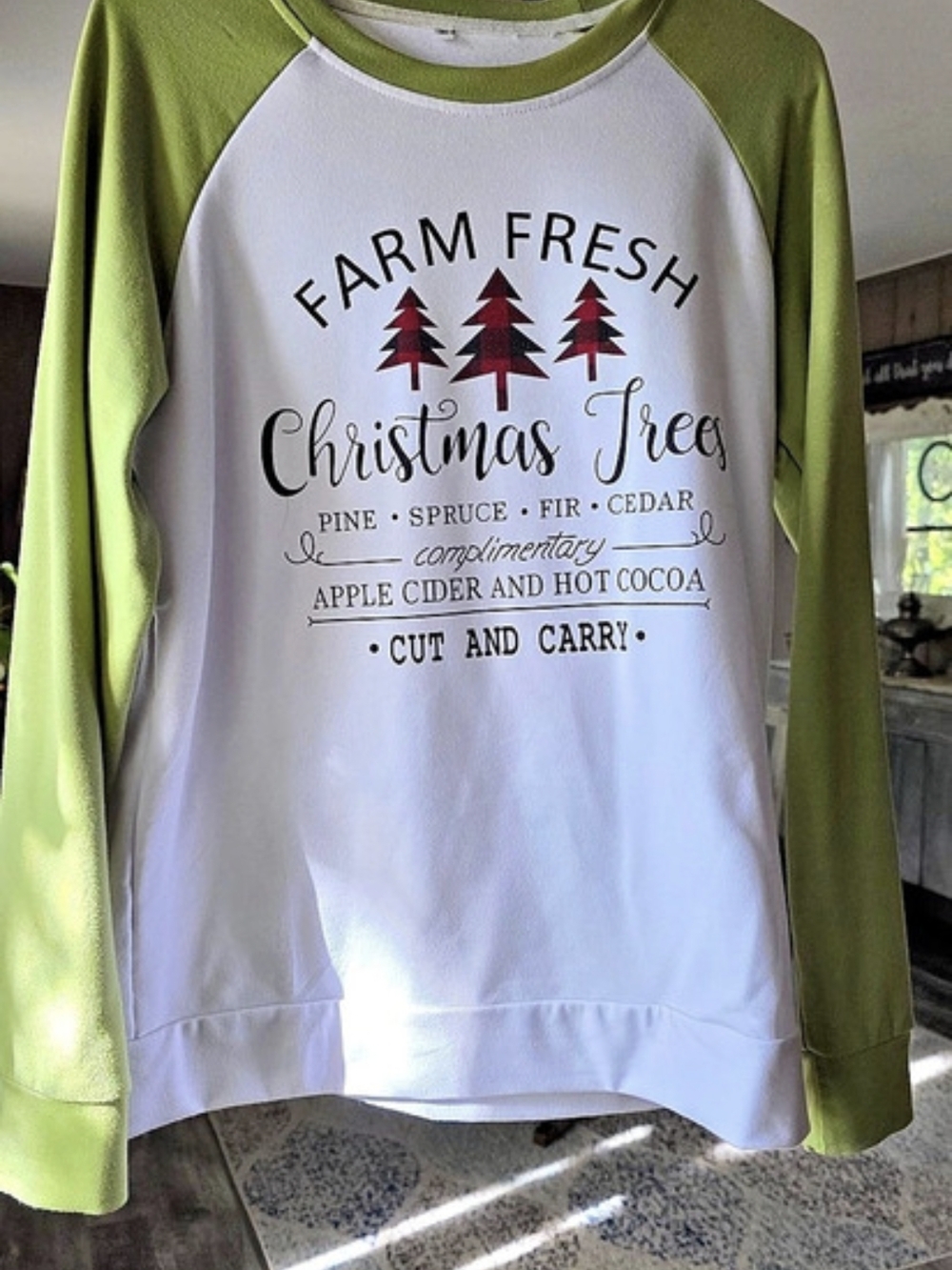 Christmas Graphic Raglan Top in Green & White Medium Like N